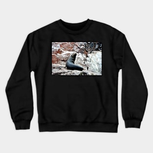 Pérou - Paracas - Les îles Ballestas Crewneck Sweatshirt